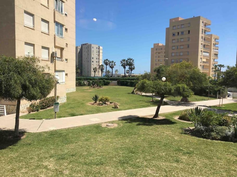 Apartamento Segunda Linea De Playa Con Piscina El Altet Dış mekan fotoğraf