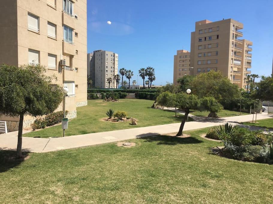 Apartamento Segunda Linea De Playa Con Piscina El Altet Dış mekan fotoğraf